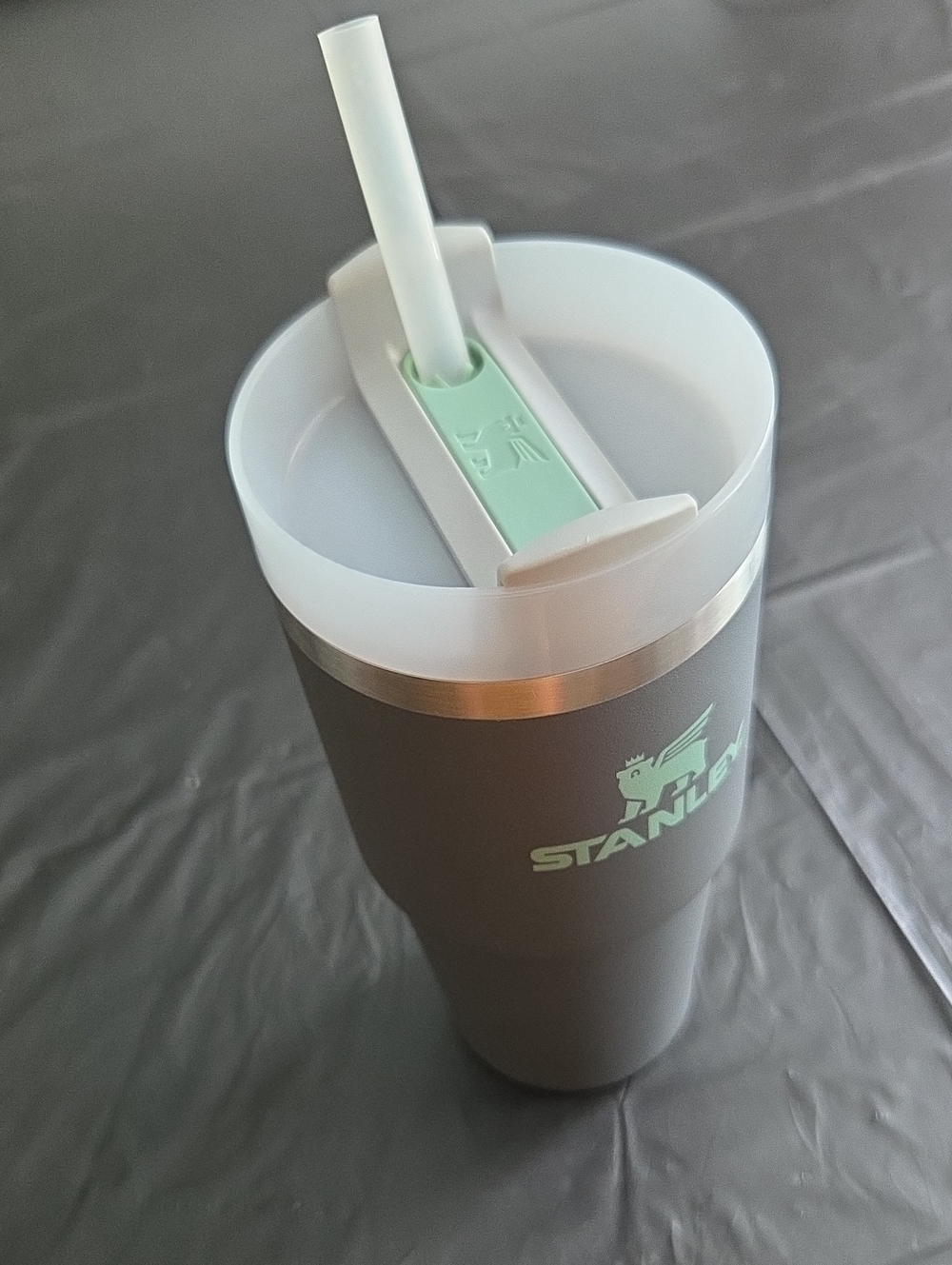 Stanley Gray Tumbler with Mint Accents and Straw